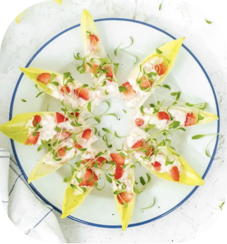 Belgian Endive Boats with Veggie Sea Salad